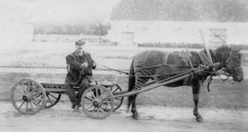 Ivanov em uma carroça tracionada por um híbrido de cavalo e zebra.